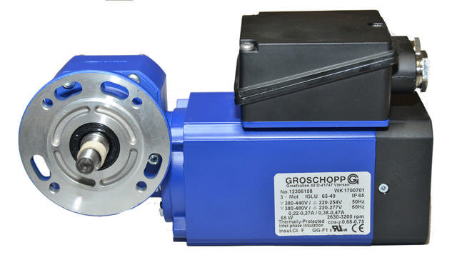 IGKU 65-40 2p B14 VE31-K-L-32 15:1