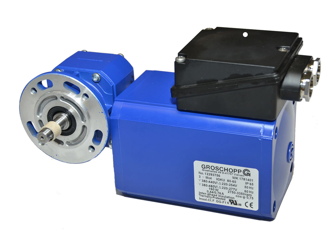 IGKU 80-60 2p B14 VE31-K-R-31 55:1