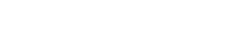 Omni Ray